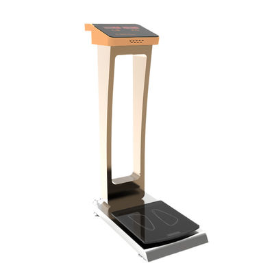 36*75*110cm Tamanho Geral Em pé Pesos corporais médicos adultos com precisão de 0,1kg