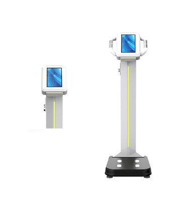 Máquina profissional de massa corporal de gordura músculo IMC Escala de medição de peso precisa para a saúde