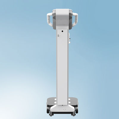 Máquina profissional de massa corporal de gordura músculo IMC Escala de medição de peso precisa para a saúde