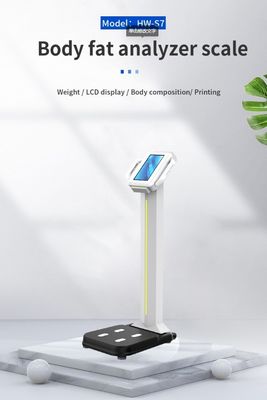 Máquina de análise digital de gordura corporal para medição de peso e composição corporal