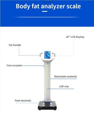 Máquina de análise digital de gordura corporal para medição de peso e composição corporal