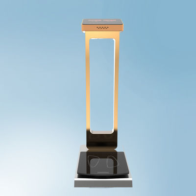 Balanças de pesagem de bagagem de capacidade de 300 kg com suporte personalizado ODM