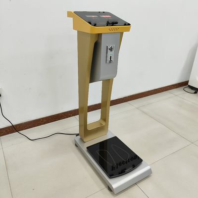 Balanças de pesagem de bagagem de capacidade de 300 kg com suporte personalizado ODM