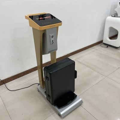 Escala de peso da moeda para o corpo humano e a bagagem de bagagem com um peso de 300 kg de carga nominal