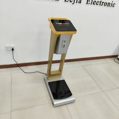Escala de peso da moeda para o corpo humano e a bagagem de bagagem com um peso de 300 kg de carga nominal
