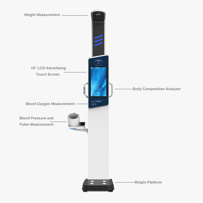 Analisador corporal de tela sensível ao toque LCD de 19&quot; para análise abrangente do peso e da altura dos adultos