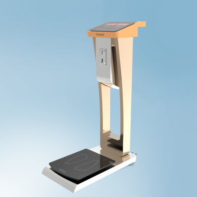 Balança de bagagem para pesagem fácil nos hotéis do aeroporto Tamanho geral 33*55*100cm G.W. 35kg
