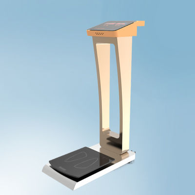 Balança de bagagem para pesagem fácil nos hotéis do aeroporto Tamanho geral 33*55*100cm G.W. 35kg