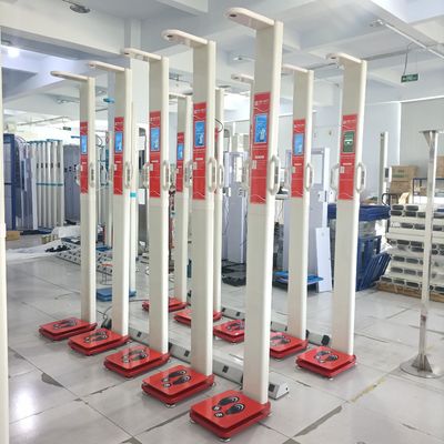 AC100-220V Máquina de balança de peso do IMC com analisador de gordura corporal