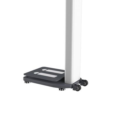 Suporte de software personalizado Máquina de venda de analisador de gordura corporal inteiro com impressora térmica