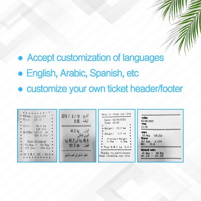 Farmácia Digital Altura e peso da moeda N.W 42kg Árabe Inglês Russo Espanhol Tailandês